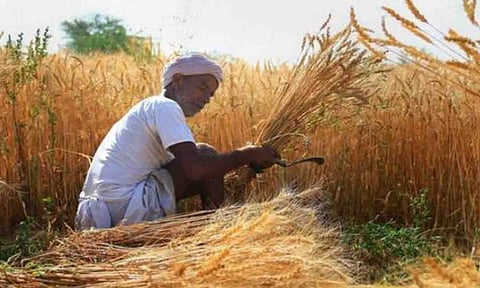கோப்புபடம்.