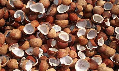 கோப்புபடம்.