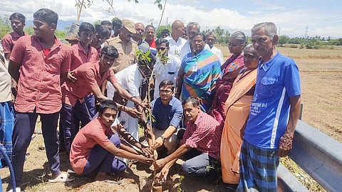 விழாவில் சப்-கலெக்டர் ரிசாப் மரக்கன்றுகள் நட்ட காட்சி.