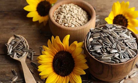 கோப்புபடம்.