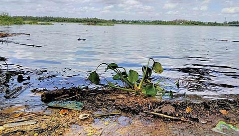 பக்தர்கள் இன்றி வெறிச்சோடி கிடக்கும் காவிரி ஆற்று பகுதியை படத்தில் காணலாம்.