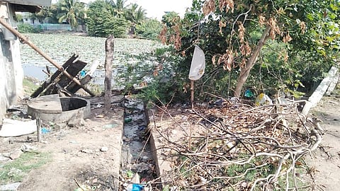 தொண்டியில் கழிவுநீராக மாறிவரும் குளம்