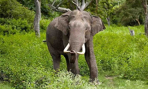 கோப்புபடம்.
