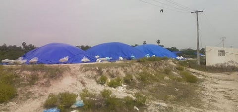 தார்பாய் போட்டு உப்பு மூடப்பட்டு உள்ள காட்சி.