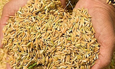 விற்பனைக்கு வைத்திருந்த 2 விதை குவியலுக்கு தடை