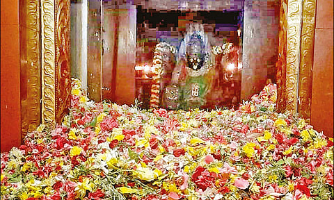 புன்னைநல்லூர் மாரியம்மனுக்கு அபிஷேகம் செய்யப்பட்ட பூக்கள் மலை போல் குவிந்துள்ளதை படத்தில் காணலாம்.