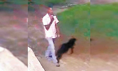 சி.சி.டி.வி. கேமராவில் பதிவாகியுள்ள வாலிபரின் உருவம். 