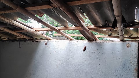 தொண்டாமுத்தூர் அருகே வீட்டின் கூரையை பிரித்து உணவு தேடிய யானைகள்