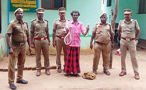 பாம்புகளுடன் நடனம் ஆடியவர் கைது