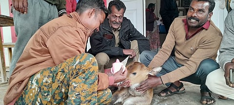 கம்பிவேலியில் சிக்கி தவித்த காட்டெருமை குட்டியை மீட்டு தாயுடன் சேர்த்த வனத்துறையினர்