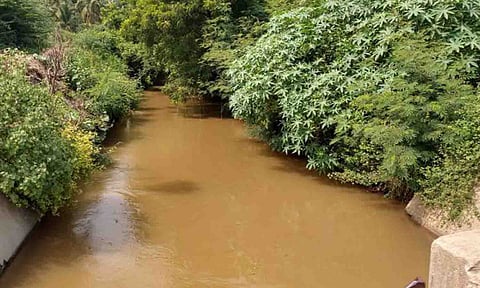 கோப்புபடம்.