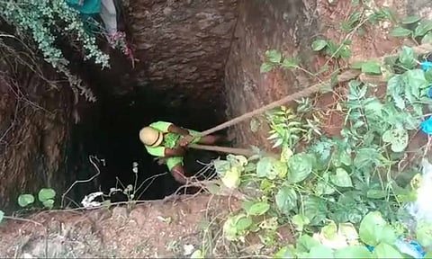 80 அடி கிணற்றுக்குள் விழுந்த நாய்க்குட்டி