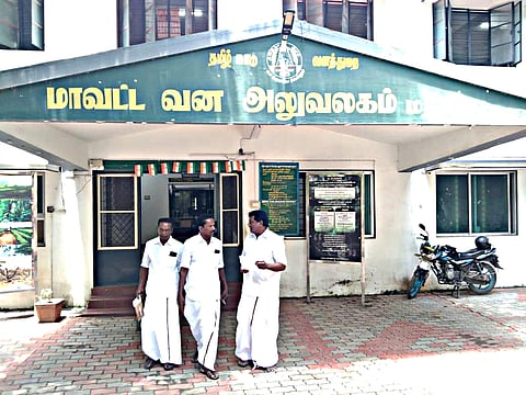 குடியிருப்பு பகுதிகளில் திரியும் குரங்குகளை பிடிக்க கோரிக்கை