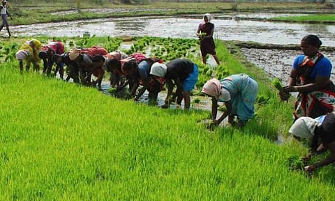 கோப்புபடம்.