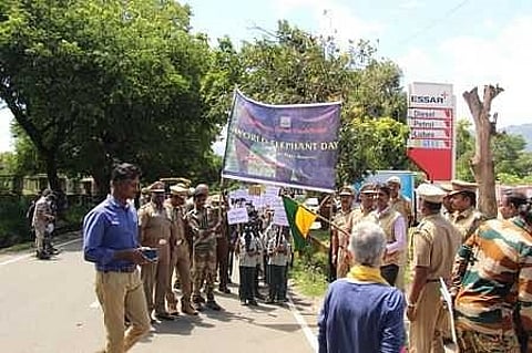 தெப்பக்காடு யானைகள் முகாமில் உலக யானைகள் தினம் கொண்டாட்டம்