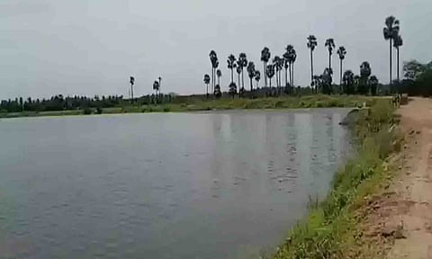 கத்தாங்கன்னி குளம் நிரம்பிய காட்சி.