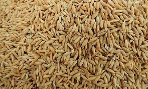 கோப்புபடம்.