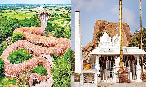 பிரமிப்பை ஏற்படுத்தும் பாம்பு கோவில்