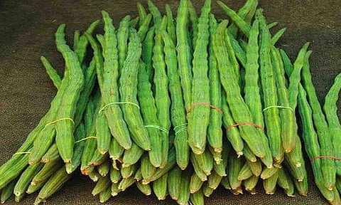 கோப்புபடம்.