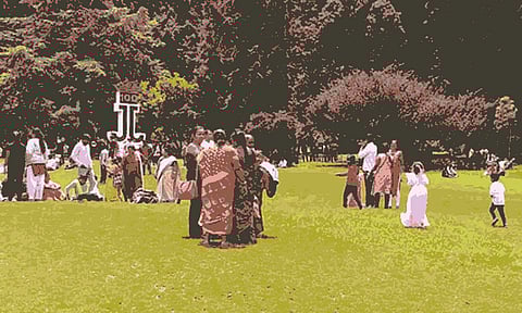 ஊட்டி தாவரவியல் பூங்காவுக்கு 34 ஆயிரம் சுற்றுலா பயணிகள் வருகை