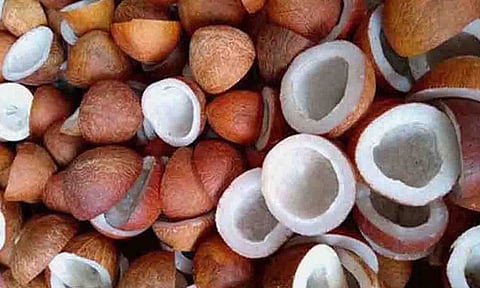 கோப்புபடம்.