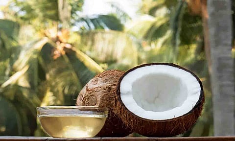 கோப்புபடம்.