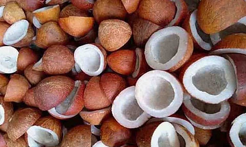 கோப்புபடம்.