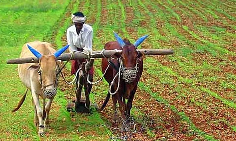 கோப்புபடம்.