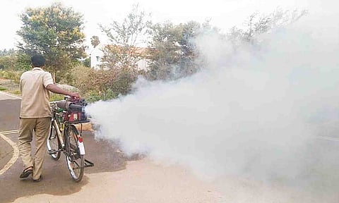 கொசு மருந்து அடிக்கும் பணியை படத்தில் காணலாம்.