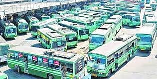 வேளாங்கண்ணி ஆலய திருவிழாவை முன்னிட்டு சிறப்பு பேருந்துகள் இயக்கம் - மேலாண் இயக்குனர் தகவல்