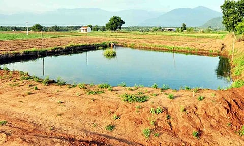 கோப்புபடம்.
