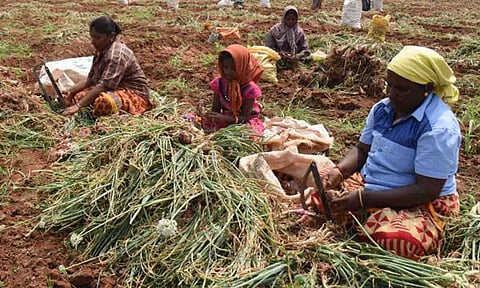 கோப்புபடம்.