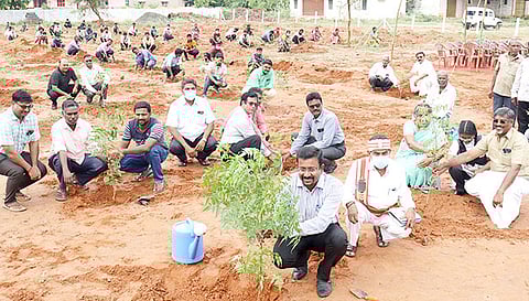 நாஞ்சிக்கோட்டை சிட்கோ தொழில்பேட்டையில் கலெக்டர் தினேஷ் பொன்ராஜ் ஆலிவர் மரக்கன்றுகள் நட்டு வைத்தார்.