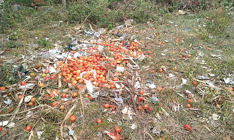 விலை கிடைக்காததால் சாலையோரம் வீசப்பட்டுள்ள தக்காளி.