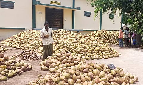 எழுமாத்தூரில் ரூ.1 லட்சத்து 4 ஆயிரத்துக்கு தேங்காய் ஏலம்