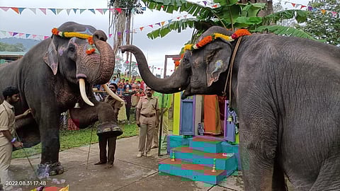 முதுமலை வளர்ப்பு யானைகள் முகாமில் விநாயகர் சதுர்த்தி கொண்டாட்டம்