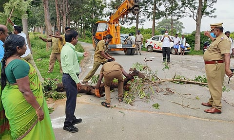 மின்வாரியம் சார்பில் நடந்த ஒத்திகை பயிற்சியை சப்- கலெக்டர் பார்வையிட்டபோது எடுத்த படம்.