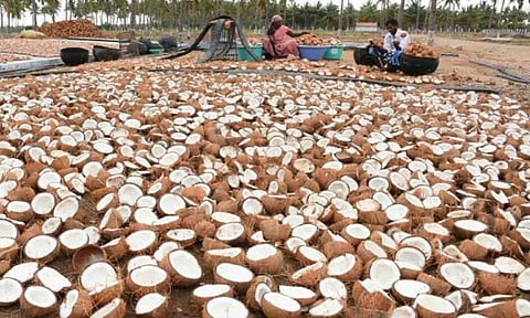 கோப்புபடம்.