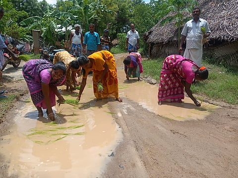 சாலையில் நாற்று நட்டு பெண்கள் போராட்டம் நடத்திய காட்சி.