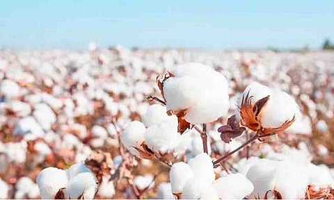 கோப்புபடம்.