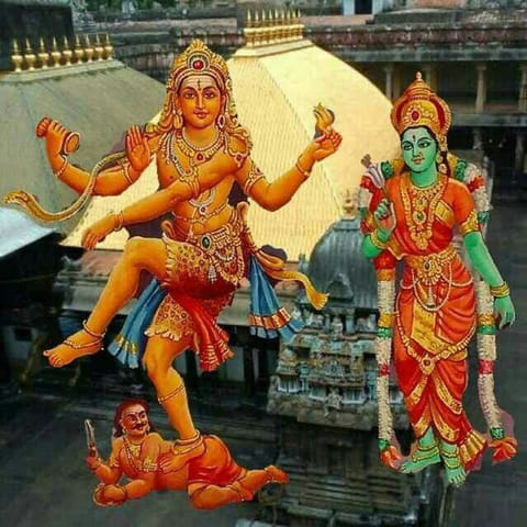 சிதம்பரம் நடராஜர் கோவிலில் மகா அபிஷேகம்