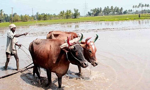 கோப்புபடம்.