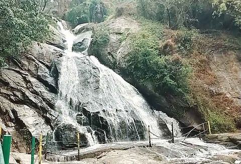 பொள்ளாச்சி கவியருவிக்கு 2 நாளில் 2 ஆயிரம் சுற்றுலா பயணிகள் வருகை