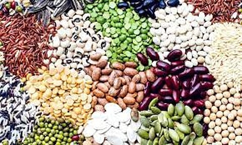 விதைப்பரிசோதனை நிலையத்தில் இயக்குநர் ஆய்வு