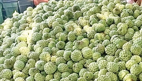 விற்பனைக்கு குவிந்துள்ள சீதாப்பழங்கள்.