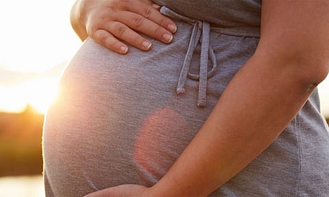 பெண் பணியாளர்களுக்கு மகப்பேறு விடுப்பு வழங்குவதை உறுதி செய்ய வேண்டும்- கூட்டுறவு சங்க பதிவாளர் சுற்றறிக்கை