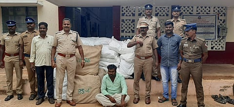 வீட்டில் பதுக்கி வைத்திருந்த ரூ.10 லட்சம் மதிப்பிலான குட்கா மூட்டைகள் பறிமுதல்