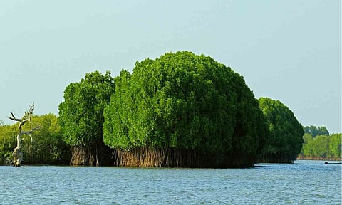 கோப்புபடம். 