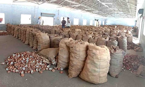 தேங்காய் பருப்பு ஏலம் நடைபெற்ற காட்சி.