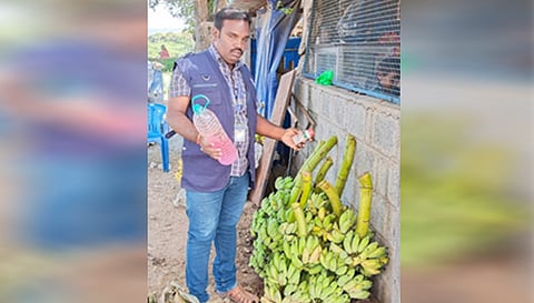தலைவாசல் மார்க்கெட்டில் ரசாயனம் மூலம் பழுக்க வைக்கப்பட்ட 195 கிலோ வாழைப்பழங்கள் அழிப்பு